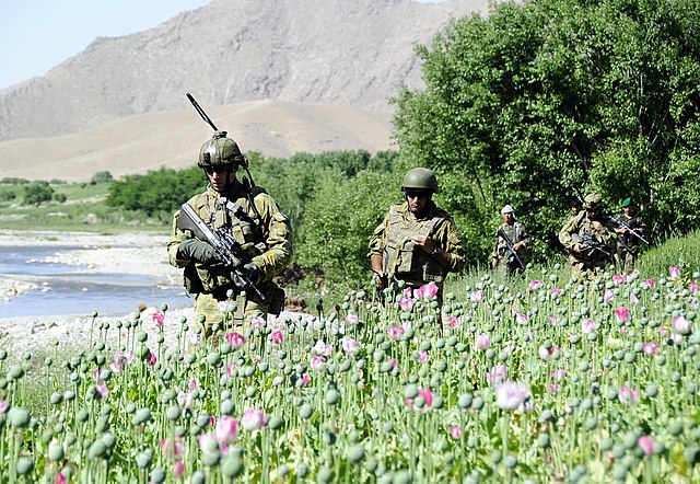 Caption:.Captain Julian Hohnen, Officer Commanding a combined Australian and Afghan Army patrol base in the Baluchi Valley Region mentors Afghan National Army Officer, Lieutenant Farhad Habib...Mid Caption:.All across the MTF1 area of operations partnered mentoring is being conducted on mounted and dismounted combined patrols with ever increasing security presence being experienced by local communities from the Southern Baluchi Valley to the Northern Chora reaches as well as east through the Mirabad...Ongoing combined ANA and MTF1 security operations involving infantry, combat engineer and reconnaissance capabilities in Oruzgan have achieved multiple layers of effects including an increased rate of IED “find and render safe” percentages, increased cache finds, and enhanced trust fostered within local communities.   ..Deep Caption:.Operation SLIPPER is Australia's military contribution to the international campaign against terrorism, piracy and improving maritime security. Under this operation our forces contribute to the efforts of the North Atlantic Treaty Organisation (NATO) - led International Security Assistance Force (ISAF) in Afghanistan. ISAF seeks to bring security, stability and prosperity to Afghanistan and aims to prevent Afghanistan again becoming a safe haven for international terrorists. Operation SLIPPER also supports the United States led International Coalition Against Terrorism (ICAT) in the broader Middle East.